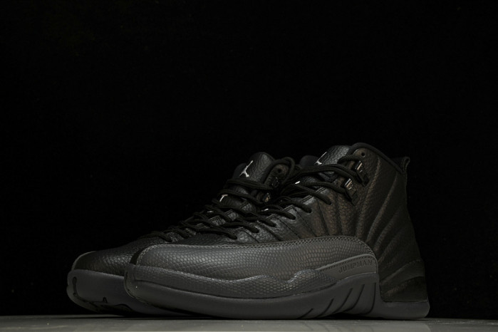 air jordan 12  ct8013-019