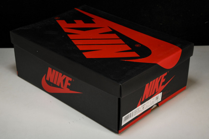 air jordan 1  fb9934-300