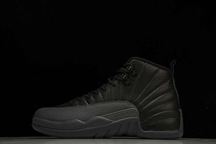 air jordan 12  ct8013-019