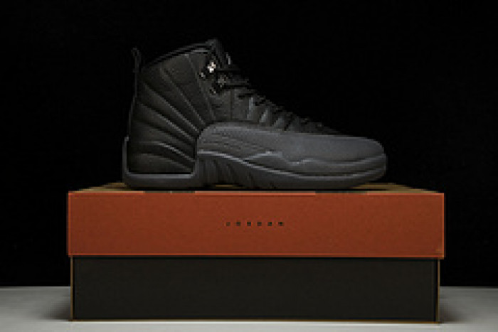 air jordan 12  ct8013-019