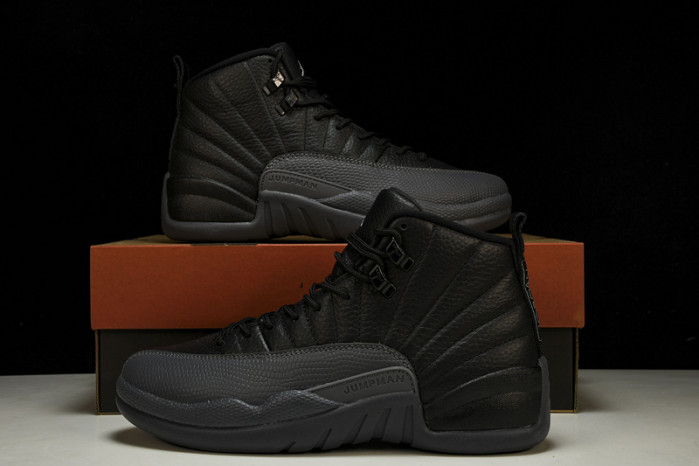 air jordan 12  ct8013-019