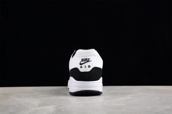 nike air max 1     dz3307-114