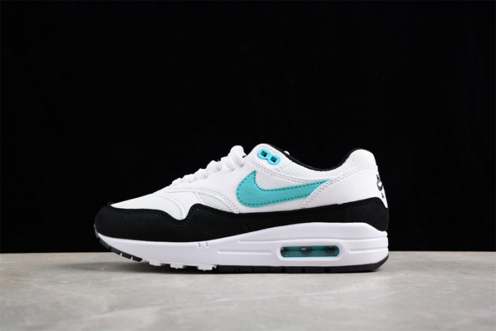 nike air max 1     dz3307-114