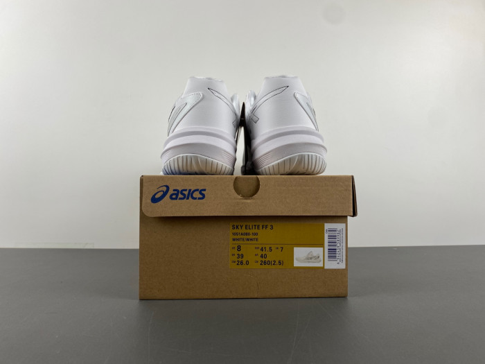 A.*SIC*S G*EL 1051A080-100