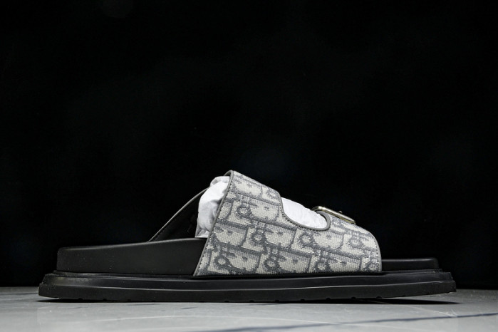 DIOR SLIDES DS-059