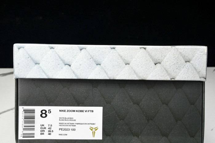 Nike Kobe PE2023-100