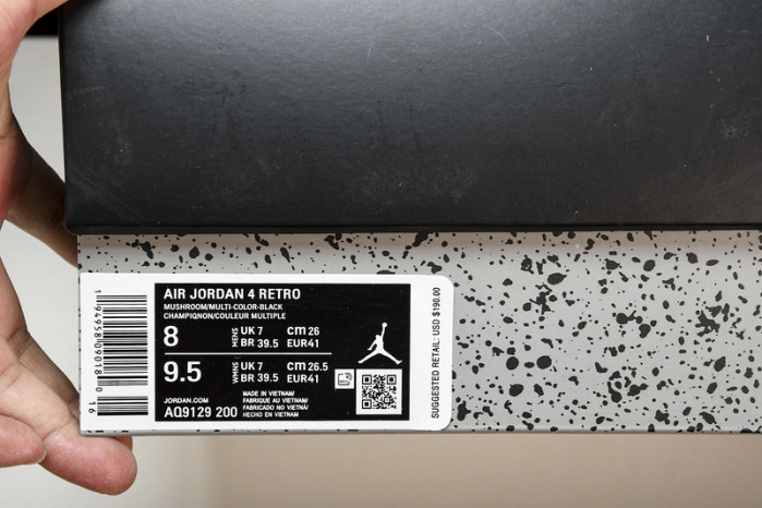 Jordan 4 Retro Fossil (W) AQ9129-200