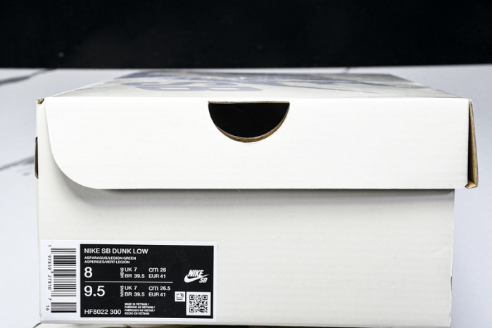 Nike Dunk Low HF8022-300