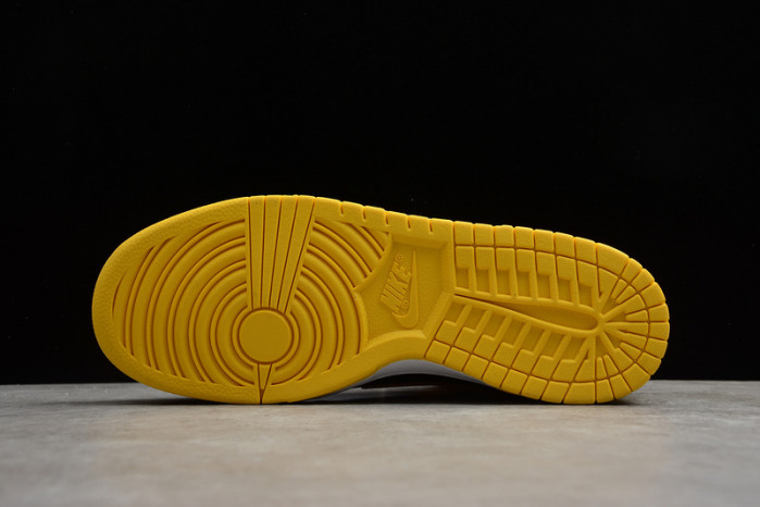 nike dunk low  cz8149-002