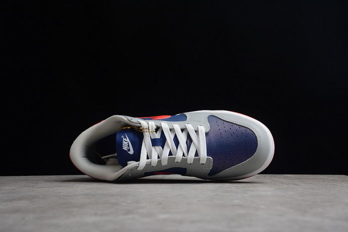 nike dunk low samba (2020) cz2667-400