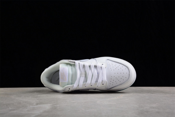 nike sb dunk low  fd9911-101