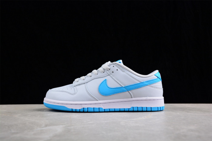 nike sb dunk low  dv083--100