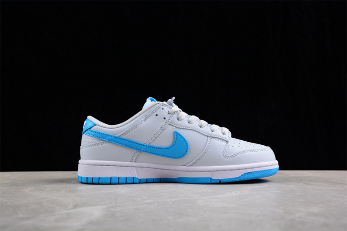nike sb dunk low  dv083--100