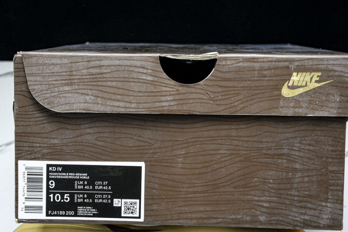 Nike KD 4 "Galaxy All Star" FJ4189-200