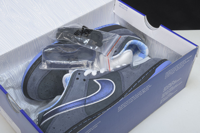 nike sb dunk low concepts blue lobster   313170--342