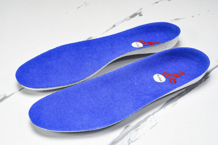 Nike Kobe 6 Protro “Dodgers” CW2190--400