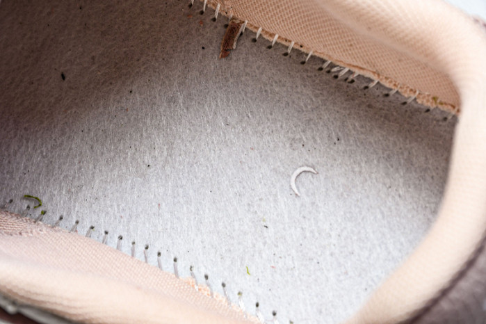 AMIRI PACIFIC BONES APBS-002