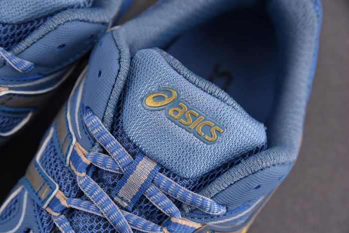 a.*sic*s g*el   1011b109-400