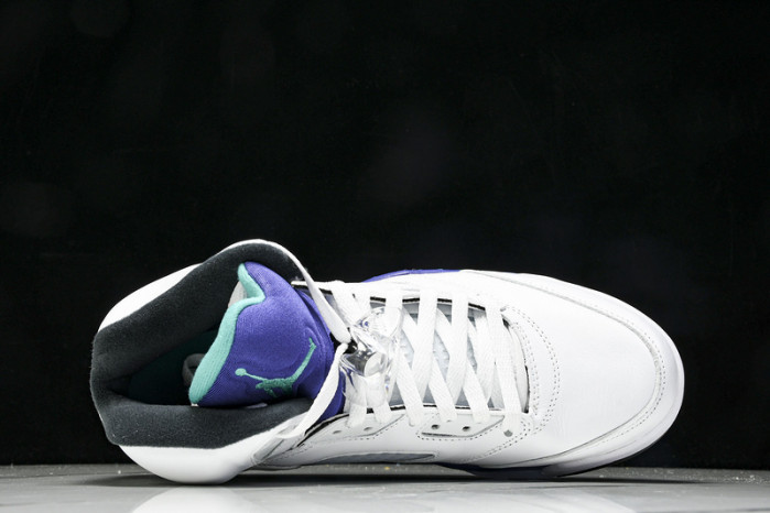 Air Jordan 5 Low HQ7978-100