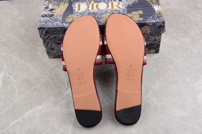 D*or slides ds-002