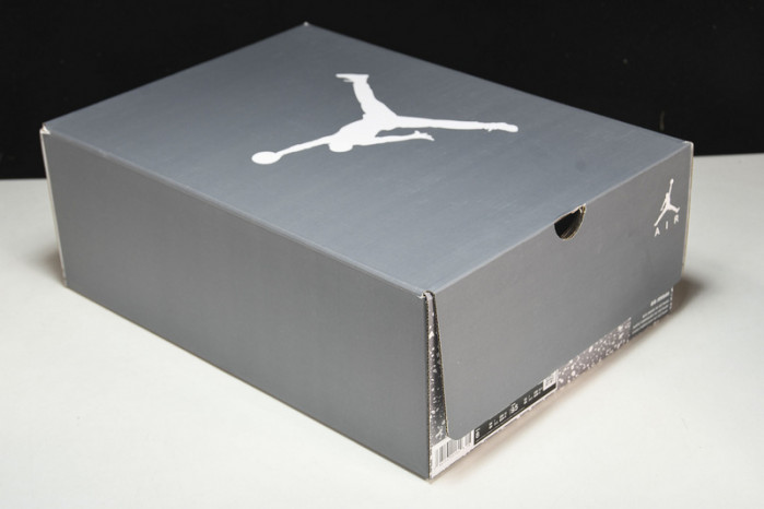 air jordan 6 “cool grey” ct8529-100