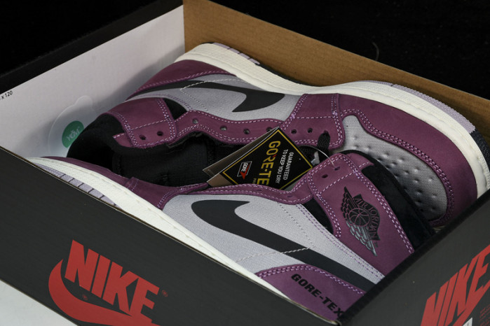 air jordan 1 high element gore-tex 
