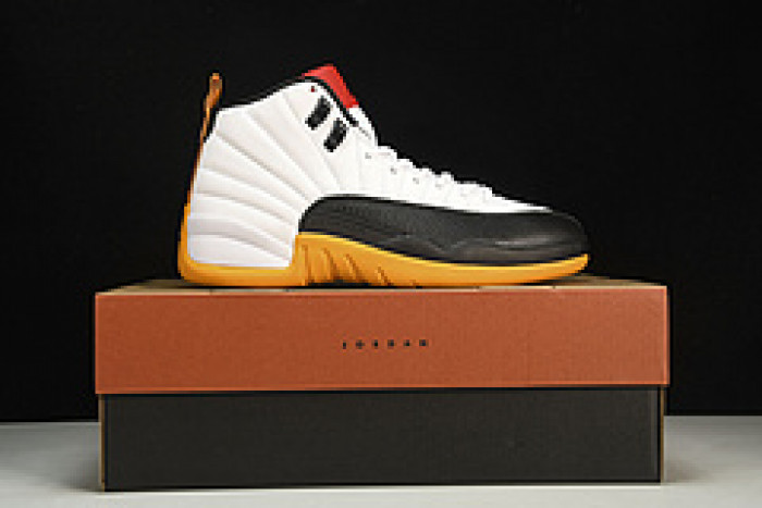 air jordan 12  dr8887-100