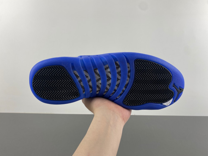 air jordan 12  ct8013--116