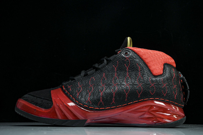 Titan x Air Jordan 23 ''Finale'' 318474-061