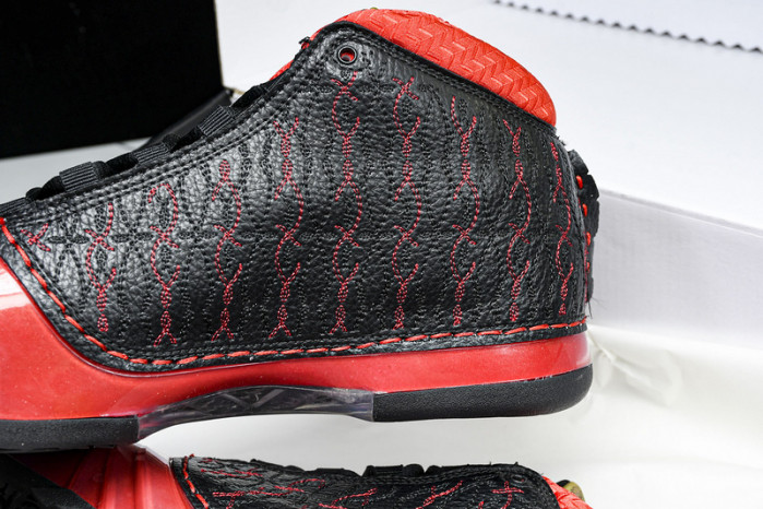 Titan x Air Jordan 23 